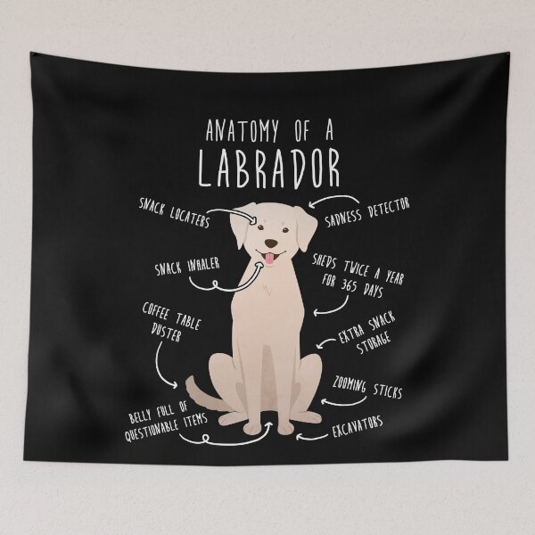 Item preview, Yellow Labrador Retriever Dog Anatomy designed and sold by Clara Hollins.