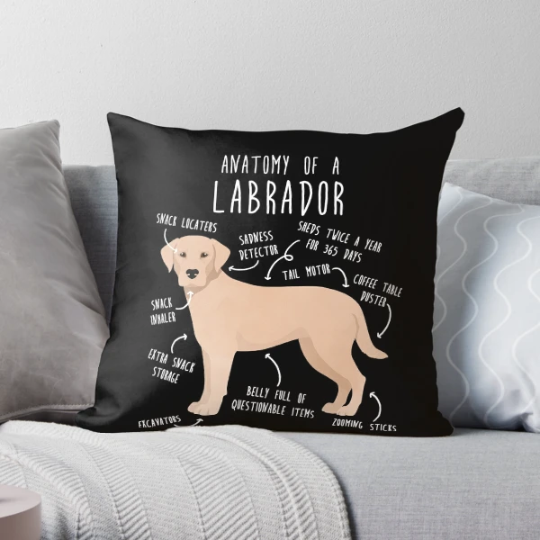 Black Lab Pillow, Dog Cushion, Labrador Retriever, Black Lab Gifts, Dog  Lover Gifts, Dog Throw Pillow 