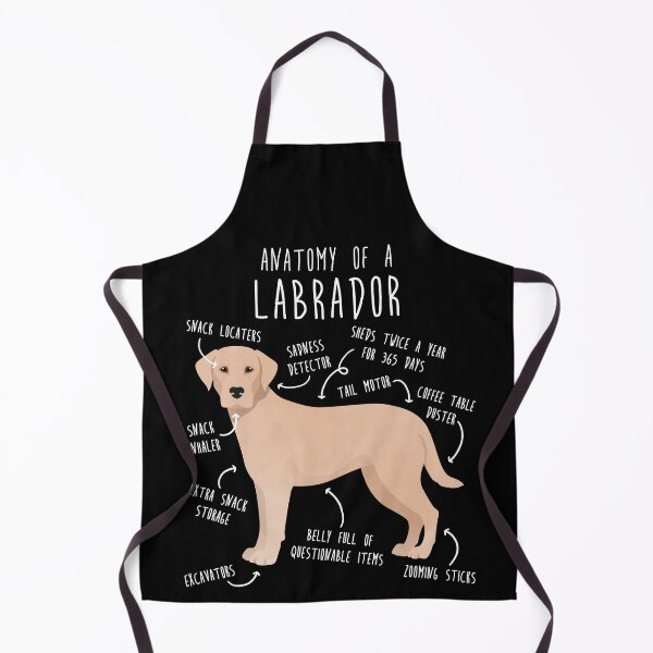 Item preview, Yellow Labrador Retriever Dog Anatomy designed and sold by Clara Hollins.