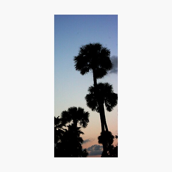 Item preview, Palms at Sunset designed and sold by Victoria DeMore.