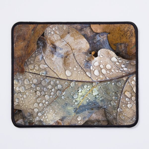 Item preview, brown leaf drops designed and sold by Esther Frieda.