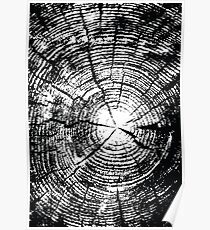 Wooden Poster