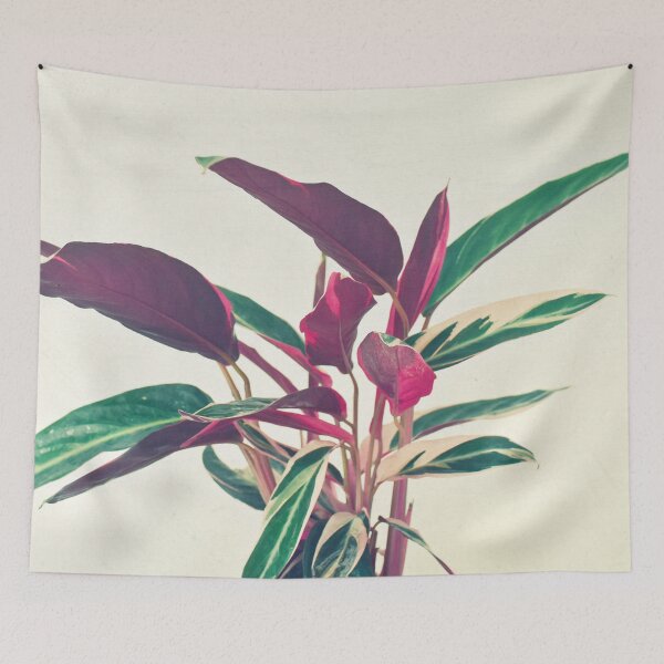 Item preview, Prayer Plant designed and sold by Cassia Beck.