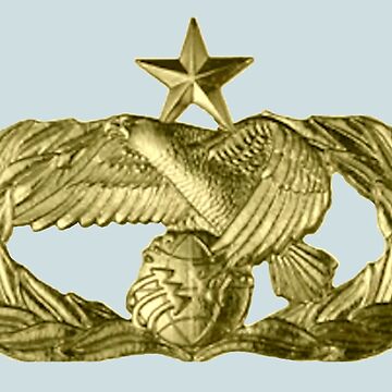 Artwork thumbnail, AFSC 2T2X1 Air Transportation Gold Occupational Badge by RBcostco7