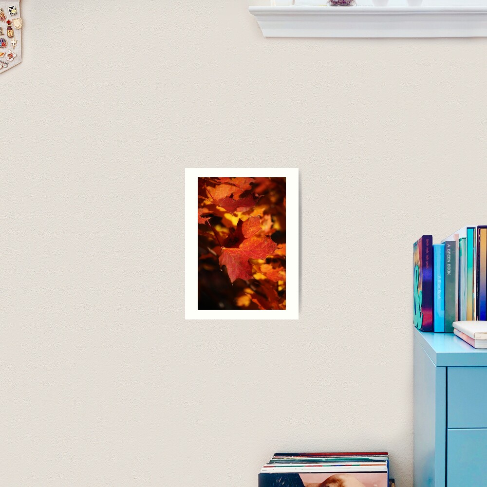 Autumn Maple Art Print