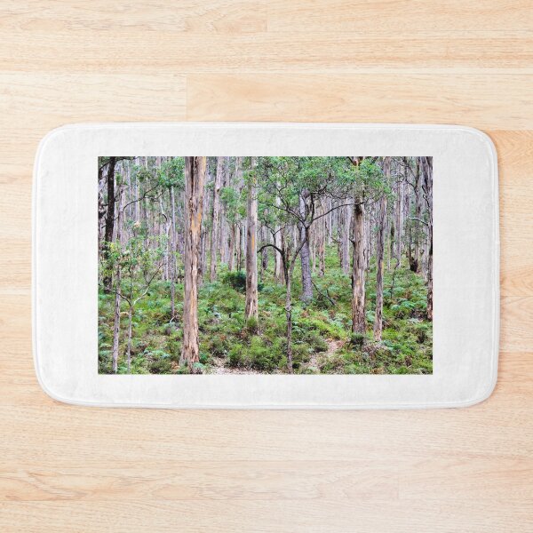 Item preview, Boranup Karri Forest, Augusta-Margaret River, Western Australia designed and sold by Simon Stokes.