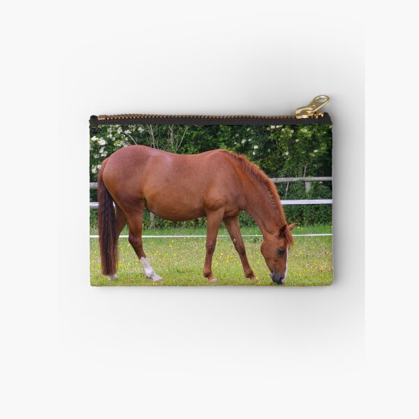 Item preview, Beautiful Horse........ designed and sold by lynn carter.