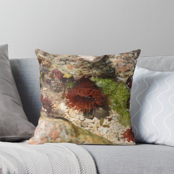 Item preview, Sea anenomes designed and sold by JacquiHall.