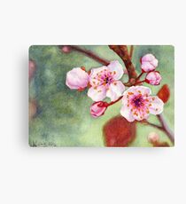 Blossoms Canvas Print