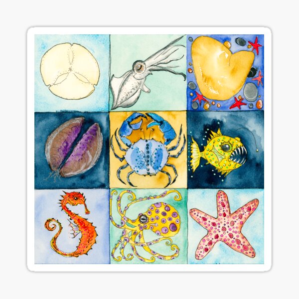Sea Life Grid Sticker