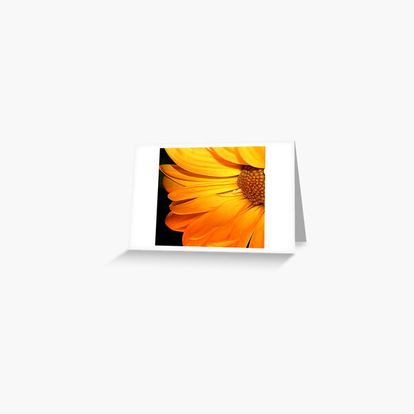 Mellow Yellow Greeting Card