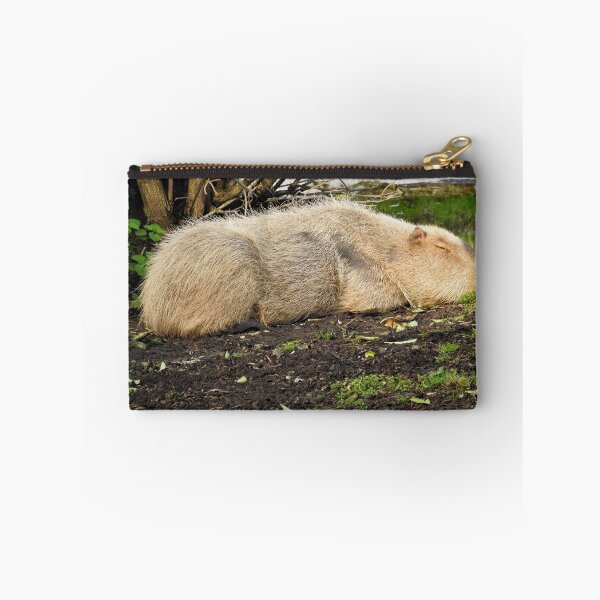 Item preview, Sleepy capybara designed and sold by StudioCorvid.