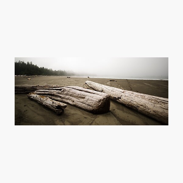 Mood: West Coast Trail Photographic Print