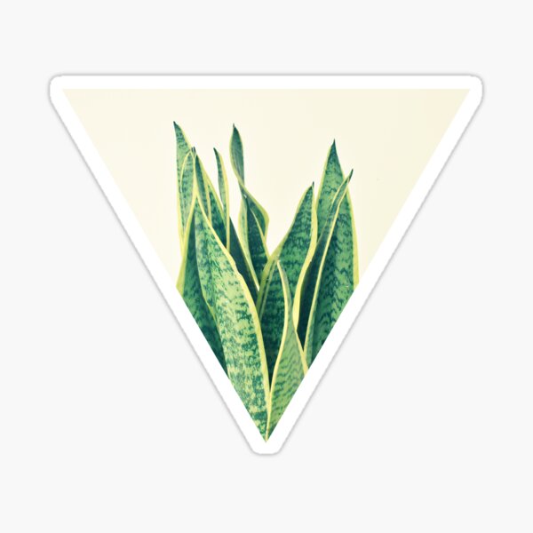 Snake Plant Sticker