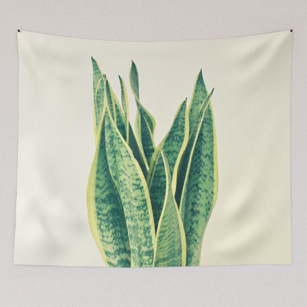 Item preview, Snake Plant designed and sold by Cassia Beck.