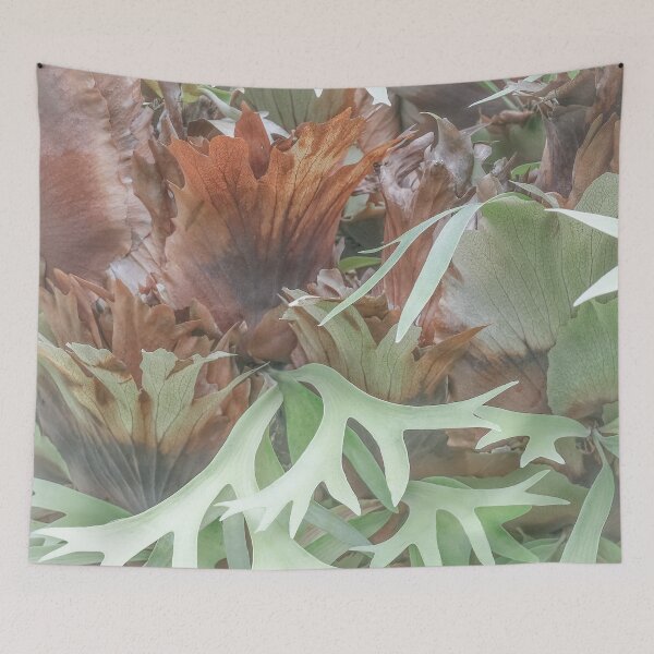 Item preview, Shinjuku Gyoen: Ethereal Elkhorn designed and sold by Chancelrie.