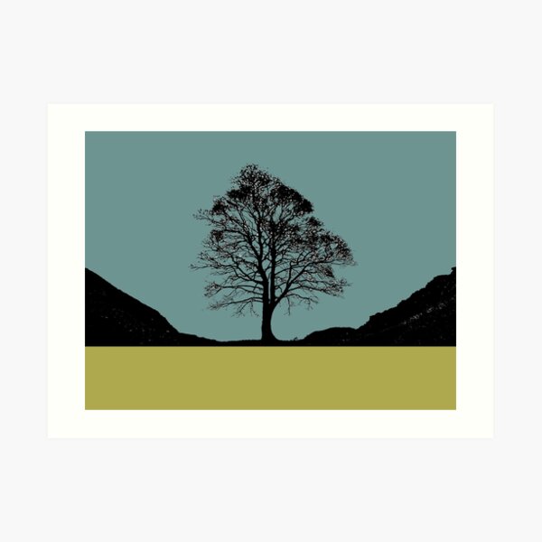 Sycamore Gap Art Print