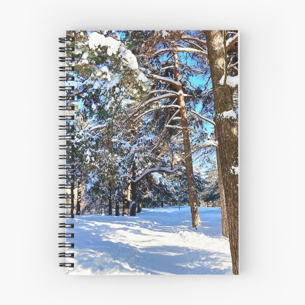 Item preview, Scene at the Sormovsky Park in Nizhny Novgorod with pine trees, foliage, trunks, snow and trail designed and sold by Kristina Drozd.
