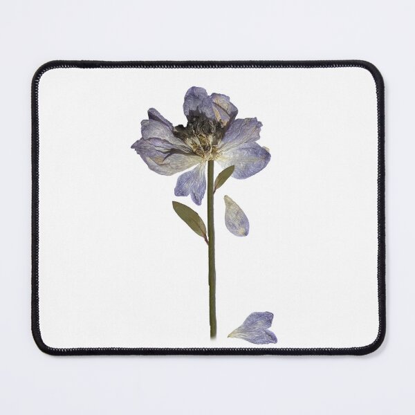 Item preview, Dried Flower Art Print designed and sold by cozycollages.