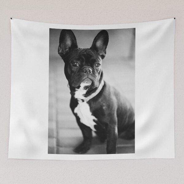 Item preview, French bulldog designed and sold by Falko-Follert.