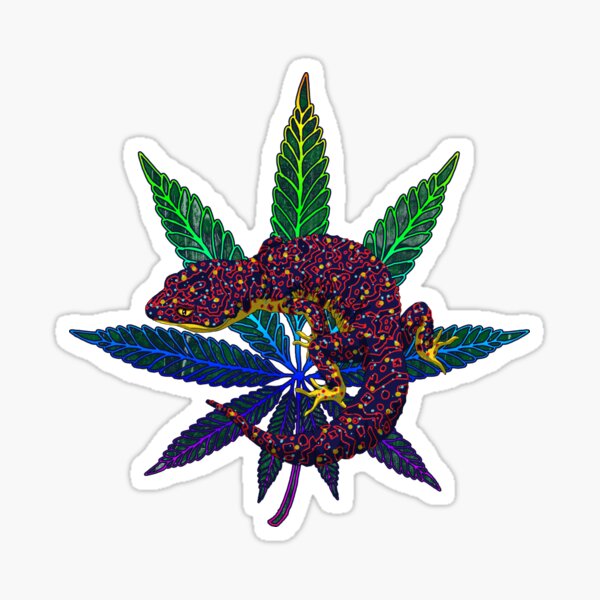 Gecko Leaf Sticker