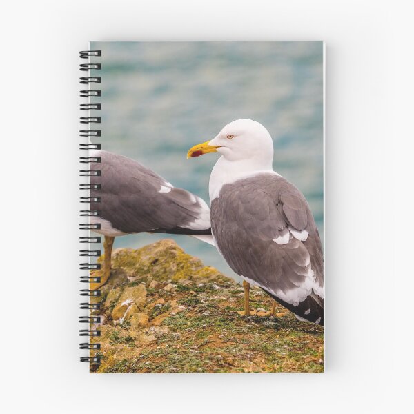 Item preview, A Pair of Lesser Black Backed Gulls. designed and sold by Postywood.