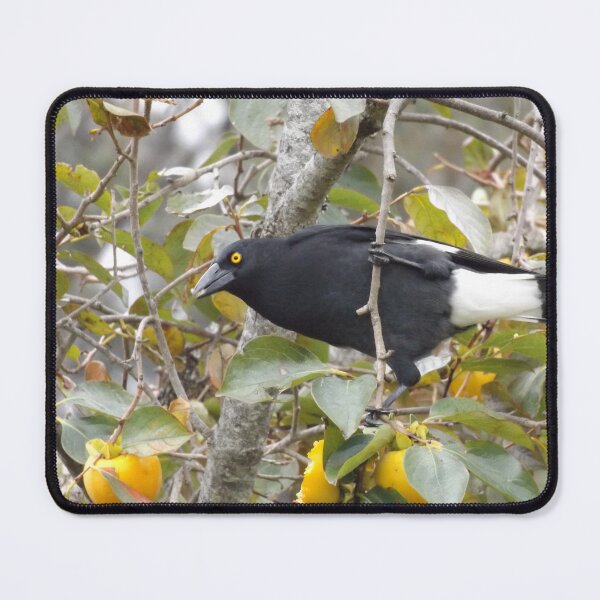 Item preview, Australian Currawong designed and sold by BlackCockiePres.
