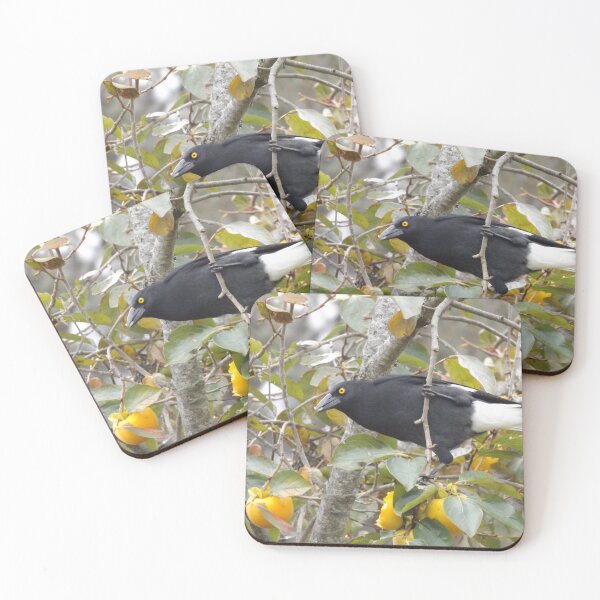 Item preview, Australian Currawong designed and sold by BlackCockiePres.