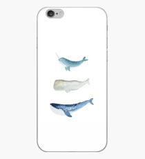 Vinilo o funda para iPhone Escuadrón de Ballenas