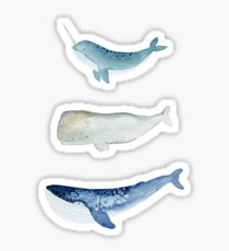 Whale Squad Sticker