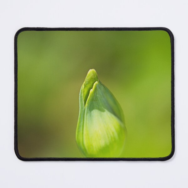 Item preview, Agapanthus Buds Mouth designed and sold by Joy Watson - Natural Light Photography .