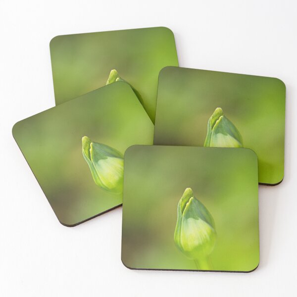 Item preview, Agapanthus Buds Mouth designed and sold by Joy Watson - Natural Light Photography .