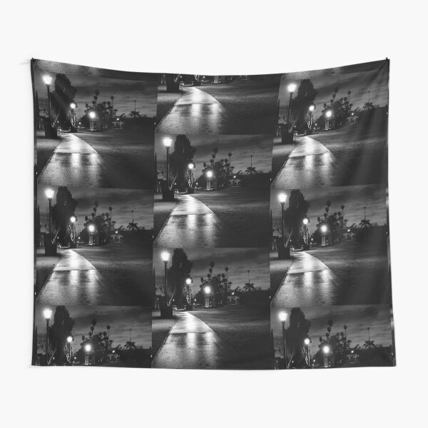 Garfield Park After Dark Tapestry