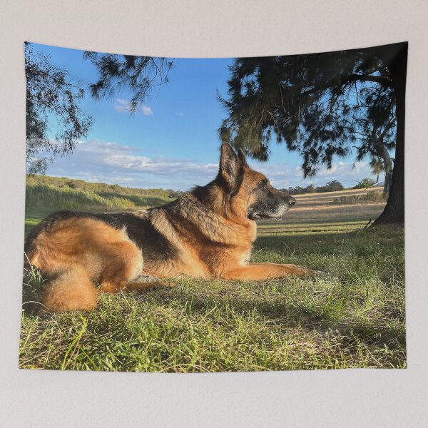 Item preview, Shepherd in the Sun designed and sold by Nicola Morgan.