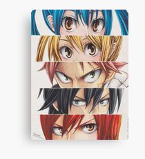 Fairy Tail eyes Canvas Print