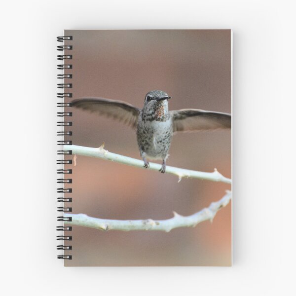 Item preview, About to Take Off designed and sold by Kathleen Brant.