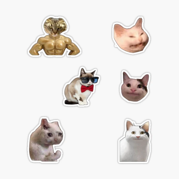 Crying Cat cool kitties pack bodybuilding Meme funny cats set Sticker for  Sale by Kaito Designs