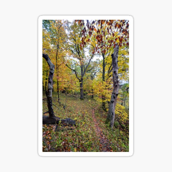 Item preview, The Narrow Path designed and sold by LynyrdSky.