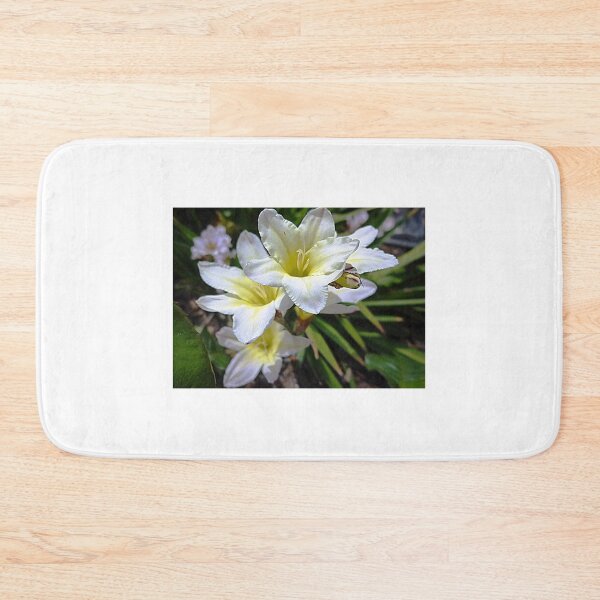Item preview, Ixias, small Spring bulb designed and sold by EdsMum.