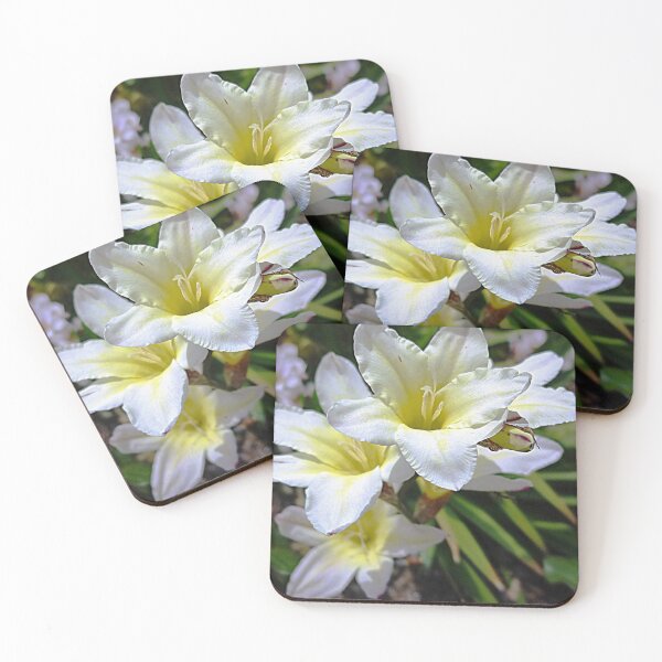 Item preview, Ixias, small Spring bulb designed and sold by EdsMum.