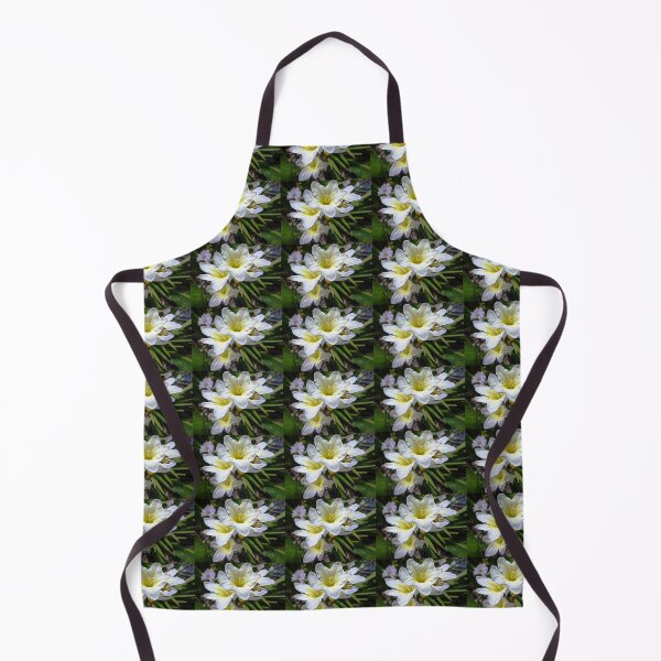 Item preview, Ixias, small Spring bulb designed and sold by EdsMum.