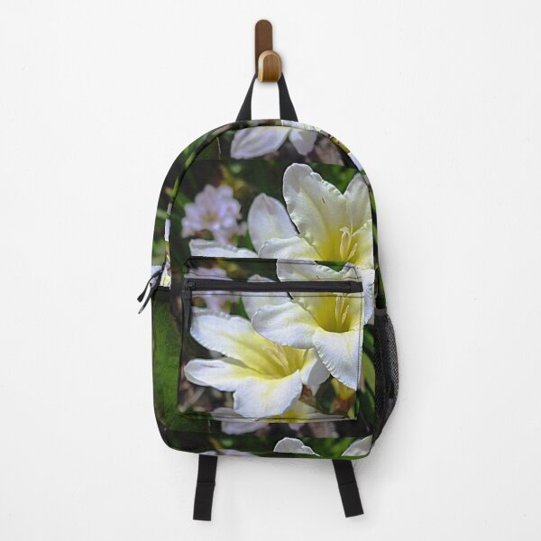 Item preview, Ixias, small Spring bulb designed and sold by EdsMum.
