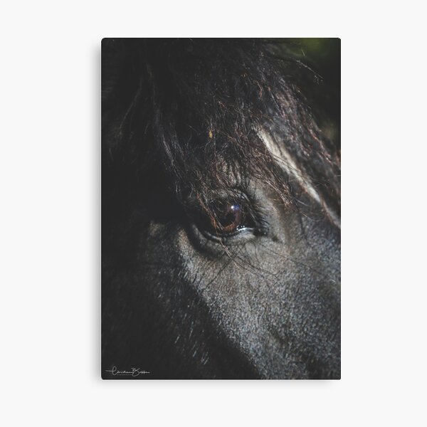 Into the Soul Canvas Print
