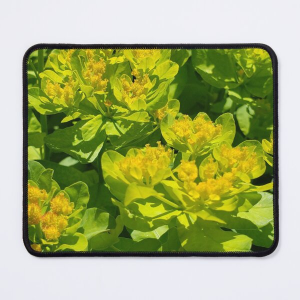 Item preview, Sun Blossom designed and sold by OnigiriSuiko.