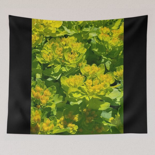 Item preview, Sun Blossom designed and sold by OnigiriSuiko.