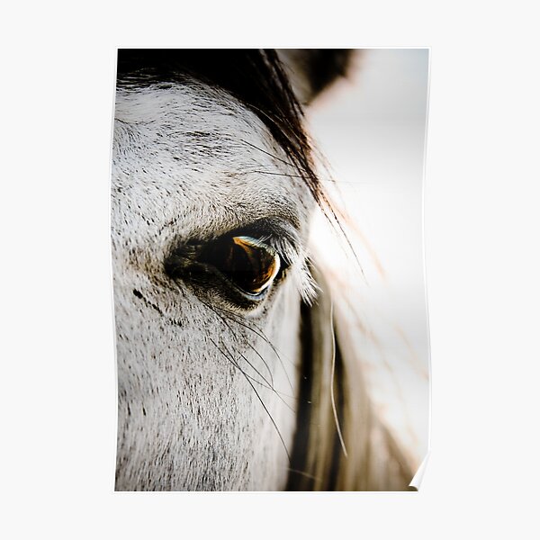 Watching You Poster