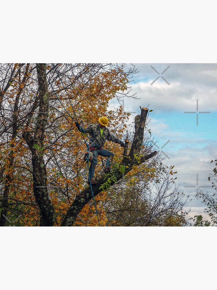 "Tree Surgeon" Sticker for Sale by FrankieCat Redbubble