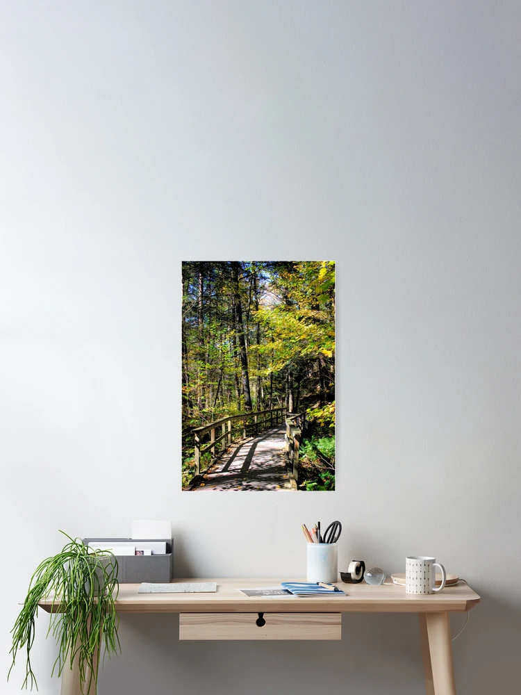 Thumbnail 2 of 3, Poster, Fall trail designed and sold by MBoothny.
