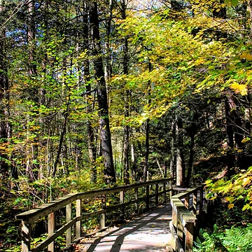 Artwork thumbnail, Fall trail by MBoothny
