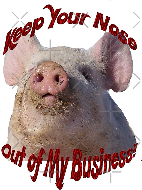 keep-your-nose-out-of-my-business-by-janette-kimbrough-redbubble